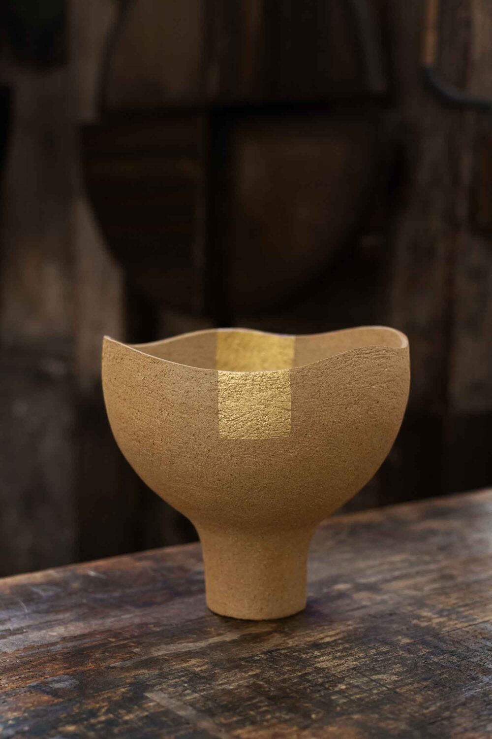 Vesna-Garic-Coupe-Gres-Or-indi